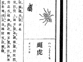 「和漢三才図会」(国立国会図書館蔵より)にもハエとハエトリクモが載っています
