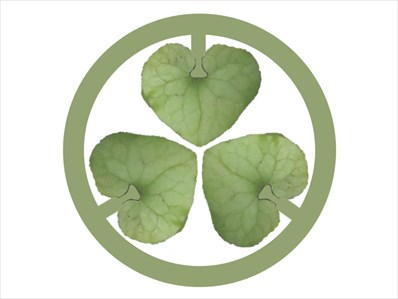 フタバアオイの写真から作った三つ葉葵の紋